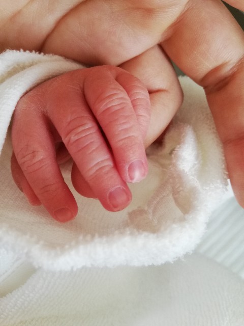 f:id:hello_anela:20190322231806j:image f:id:hello_anela:20190322231806j:image