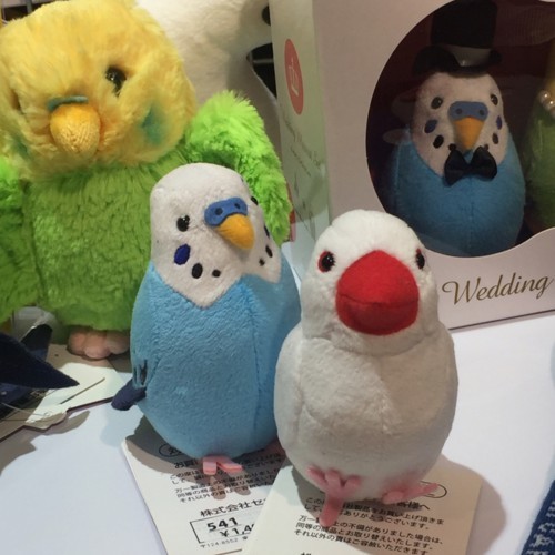 f:id:helloayukitty:20180624231241j:plain f:id:helloayukitty:20180624231241j:plain
