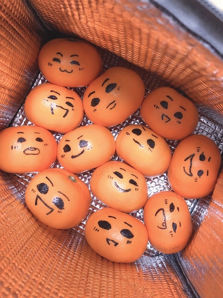 f:id:hellocomment:20190110133147j:plain f:id:hellocomment:20190110133147j:plain