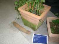f:id:helloelf:20050527011700j:image f:id:helloelf:20050527011700j:image