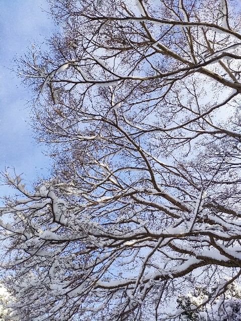 f:id:hellomosimosi:20230125194621j:image
