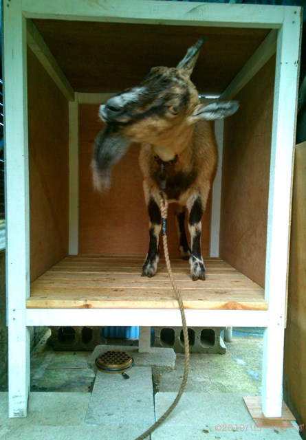 メイメイファーム製ヤギ小屋 山羊小屋 犬にもロバにも使用可