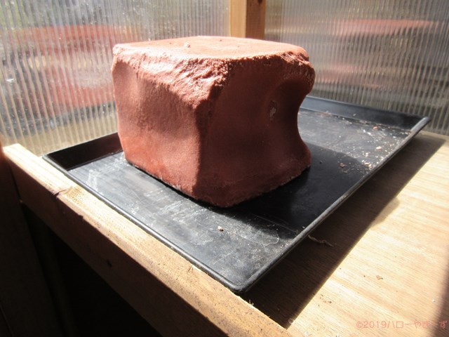 ハローやぎーず-ヤギの健康管理-鉱塩-摂取量