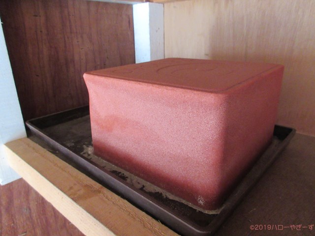 ハローやぎーず-ヤギの健康管理-鉱塩-摂取量