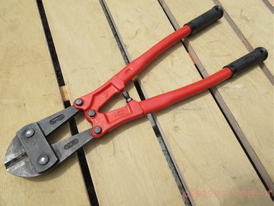 ハローやぎーず-ヤギの体-除角じゃなくて、『削角』？！-ヤギの角-ツノ-切る道具-ボルトクリッパー