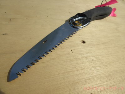 ハローやぎーず-ヤギの体-除角じゃなくて、『削角』？！-ヤギの角-ツノ-切る道具-のこぎり