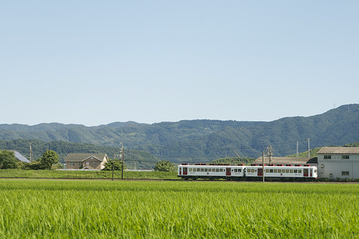 セミリタイア志向だけど田舎移住って めちゃリスクだなと改めて思った 田舎暮らし 二拠点セミリタイア セミリタイア志向だけど田舎移住って めちゃリスクだなと改めて思った 田舎暮らし 二拠点セミリタイア