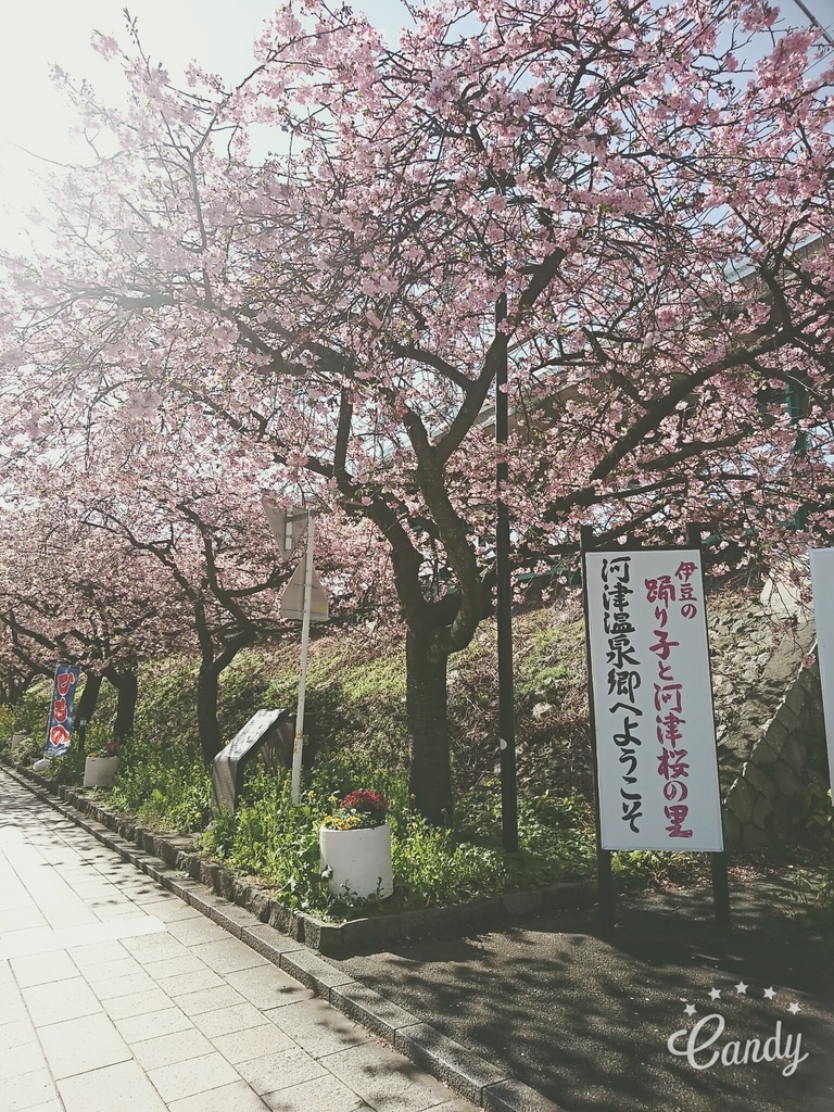 f:id:henachocoyome:20190221130834j:plain f:id:henachocoyome:20190221130834j:plain