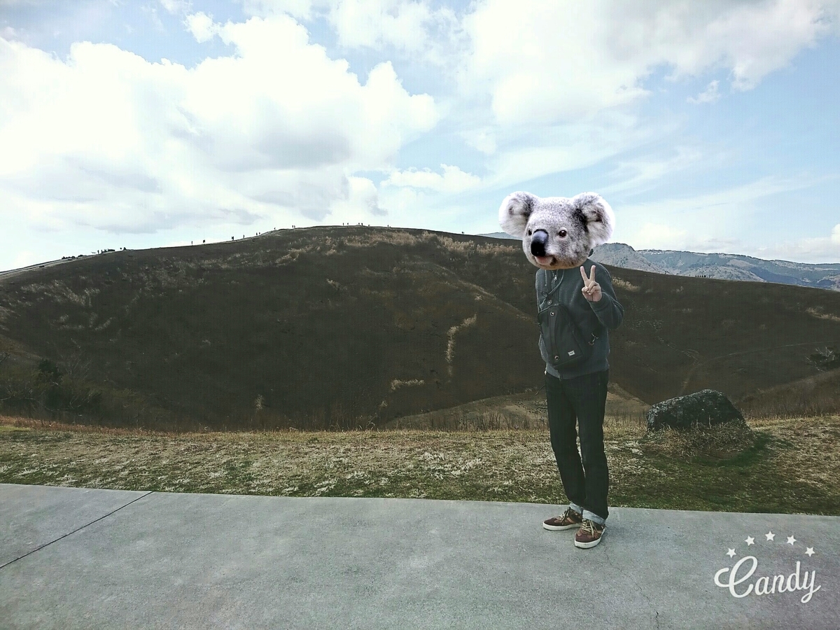 f:id:henachocoyome:20190316171203j:plain f:id:henachocoyome:20190316171203j:plain