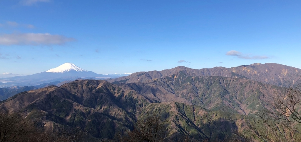 f:id:henatan:20190106195621j:plain f:id:henatan:20190106195621j:plain