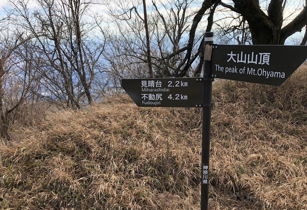 f:id:henatan:20190106200153j:plain f:id:henatan:20190106200153j:plain