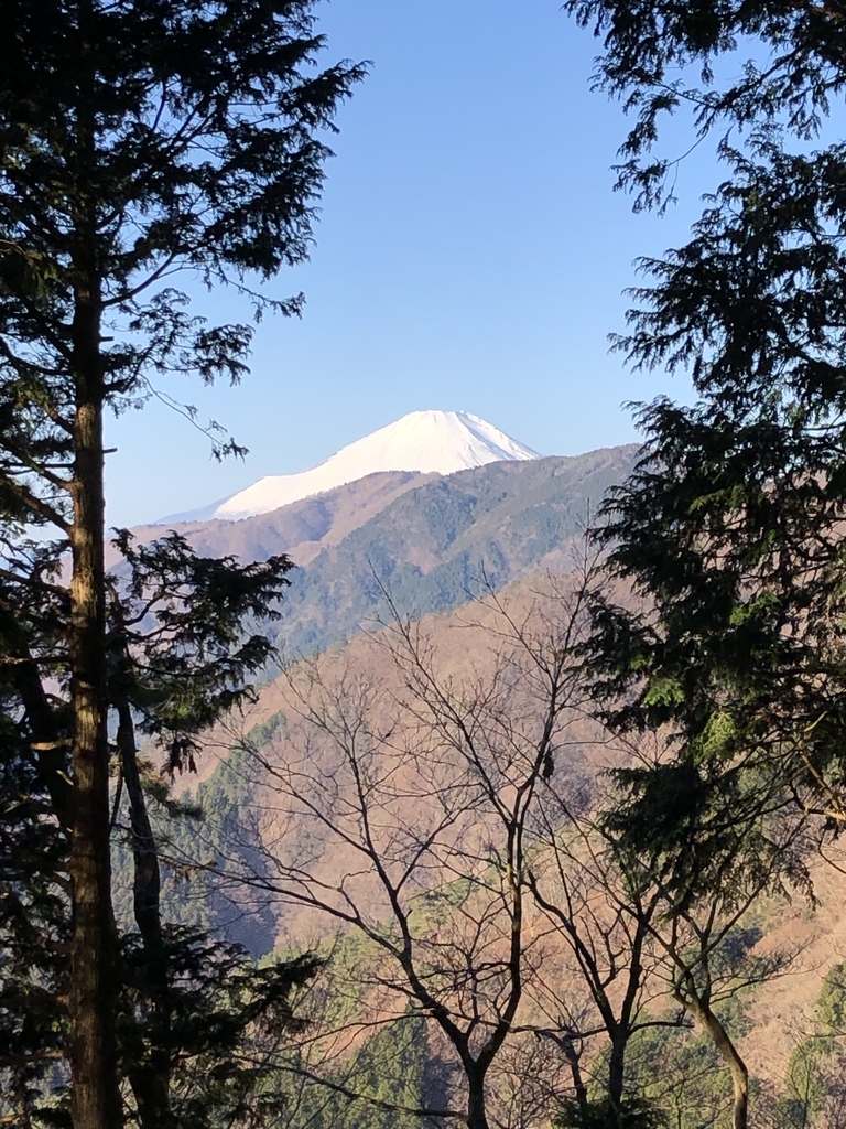 f:id:henatan:20190114161439j:plain