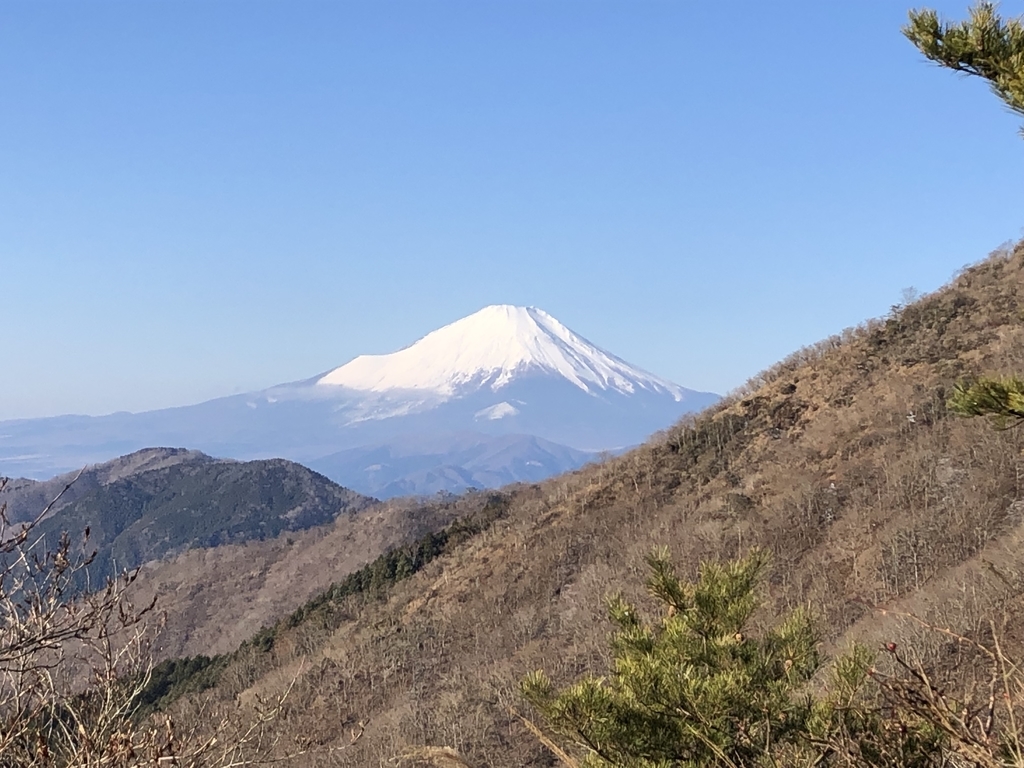 f:id:henatan:20190114161823j:plain