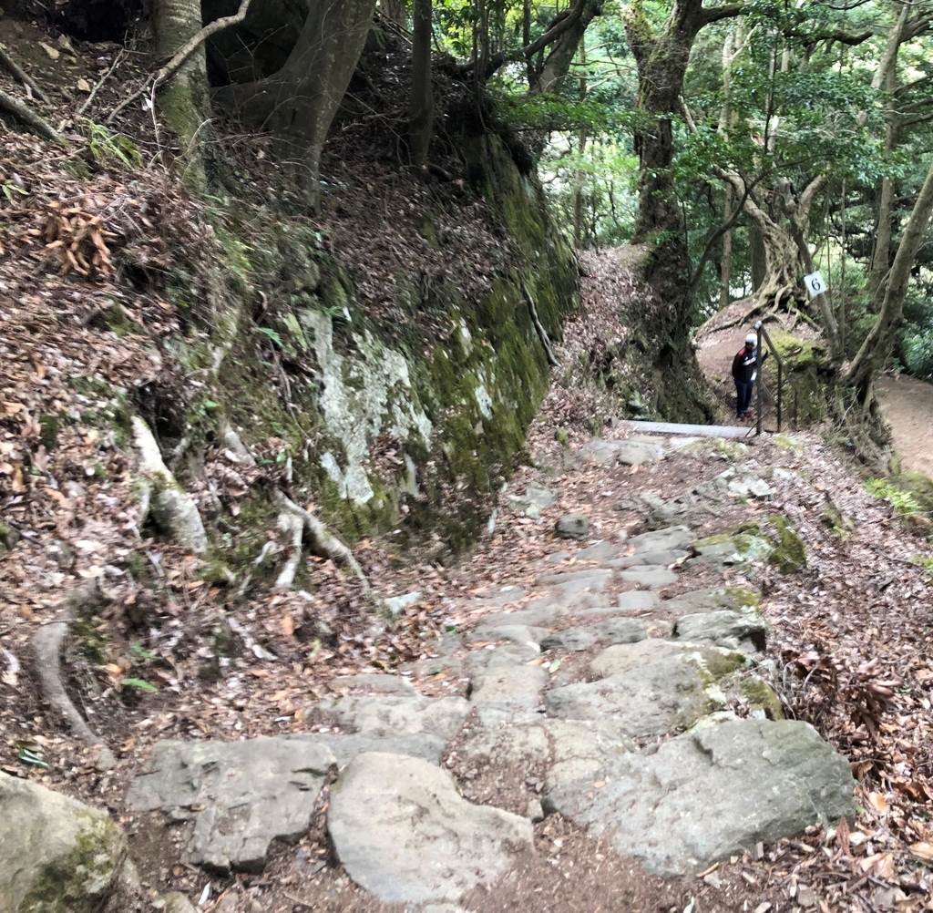 f:id:henatan:20190310192500j:plain f:id:henatan:20190310192500j:plain