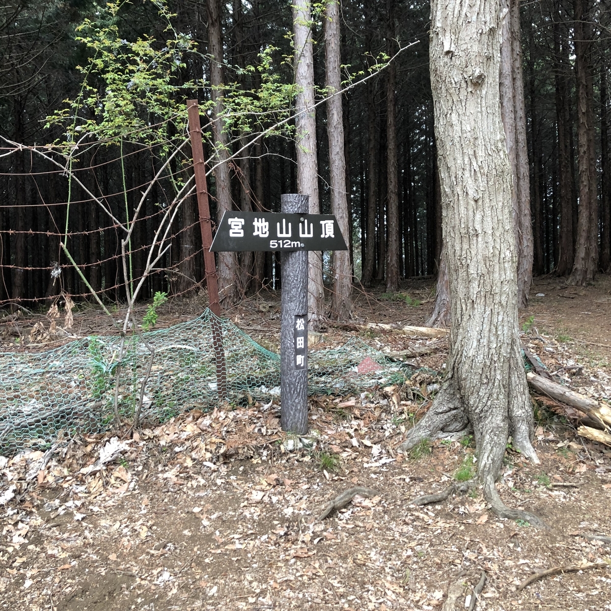 f:id:henatan:20190329154947j:plain f:id:henatan:20190329154947j:plain