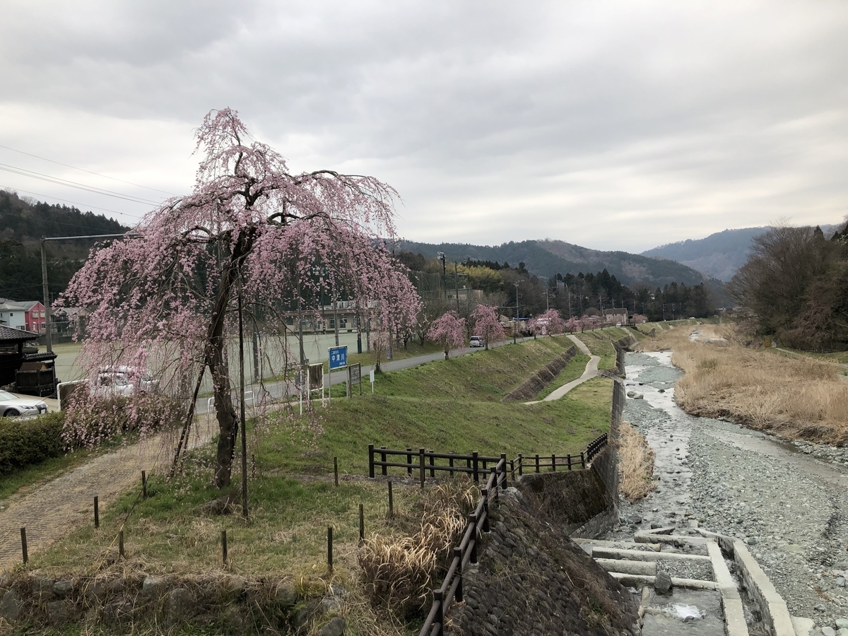 f:id:henatan:20190329161149j:plain f:id:henatan:20190329161149j:plain