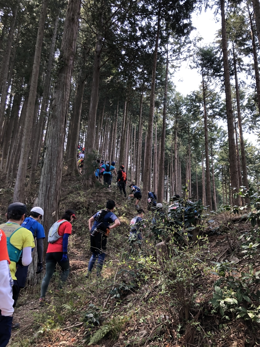 f:id:henatan:20190407172006j:plain f:id:henatan:20190407172006j:plain