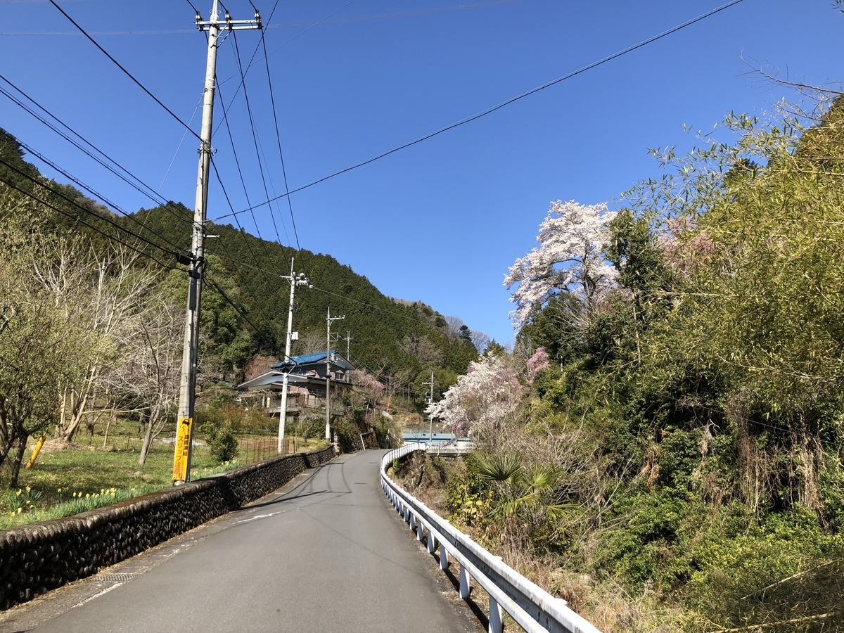 f:id:henatan:20190414194257j:plain