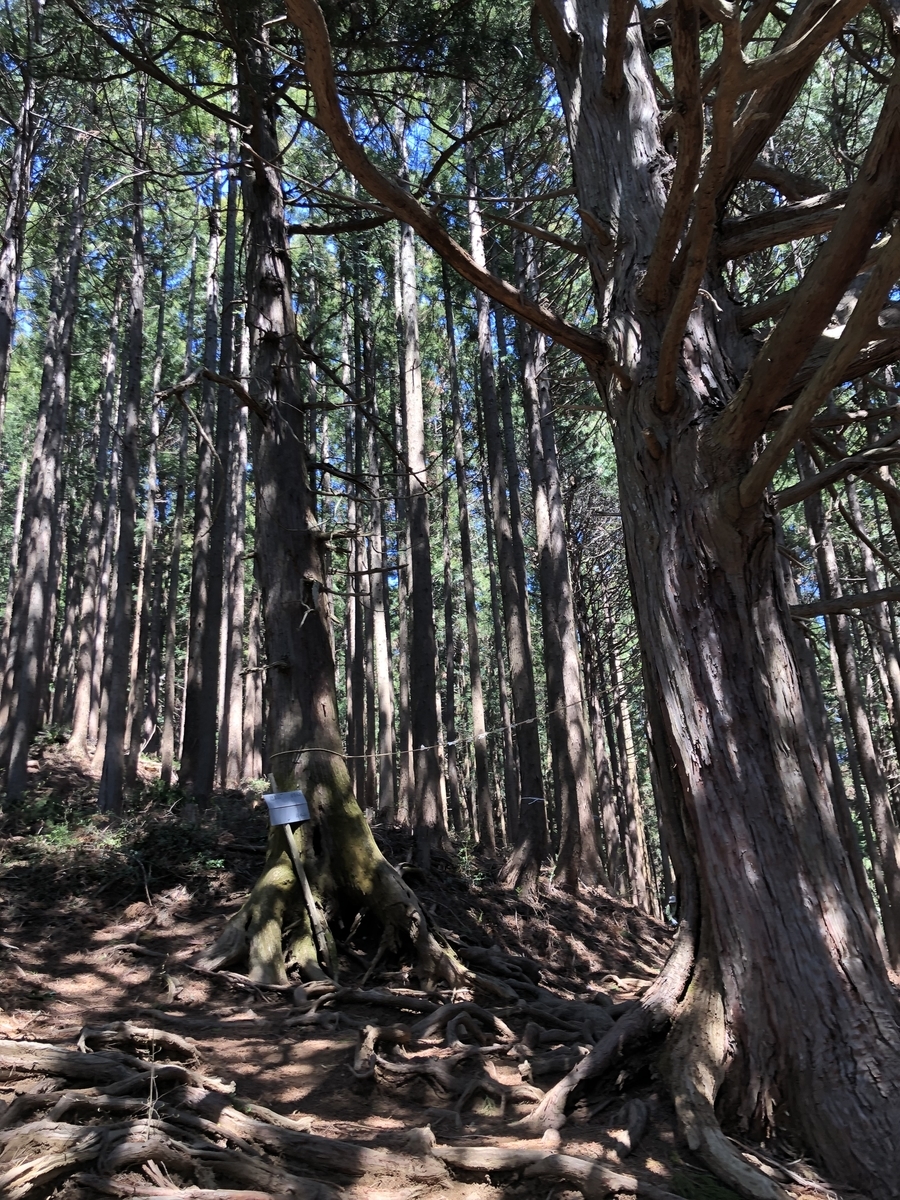 f:id:henatan:20190414202348j:plain f:id:henatan:20190414202348j:plain