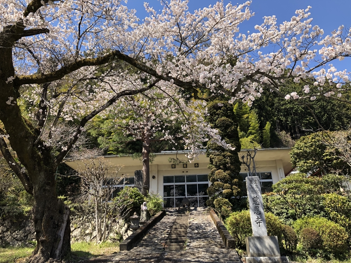 f:id:henatan:20190414202935j:plain f:id:henatan:20190414202935j:plain