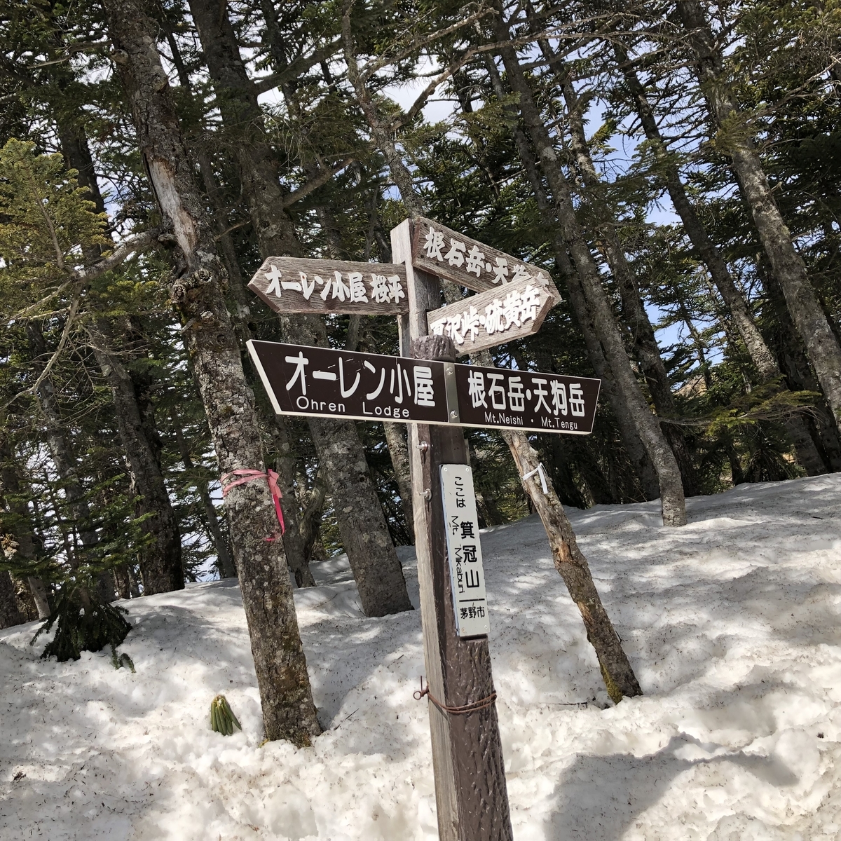 f:id:henatan:20190511112104j:plain