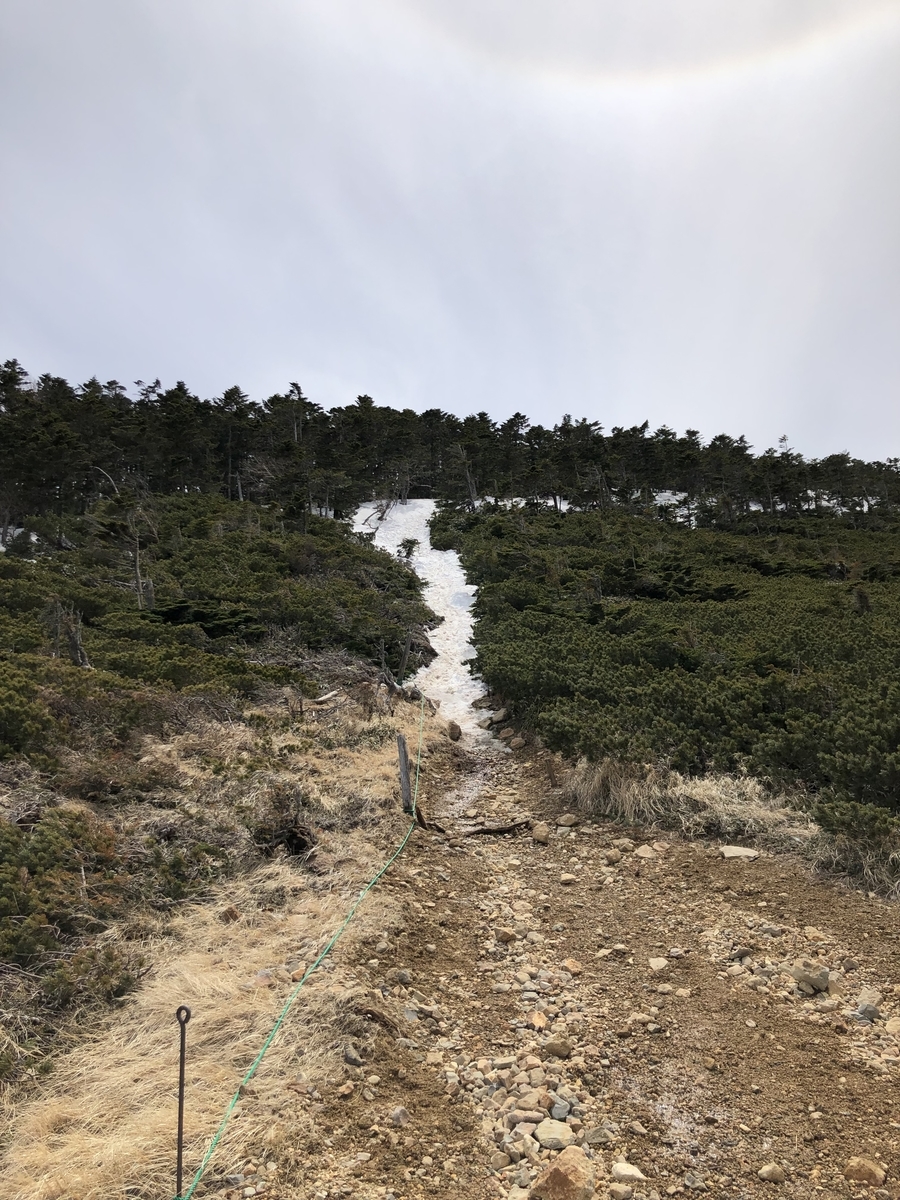 f:id:henatan:20190511114525j:plain
