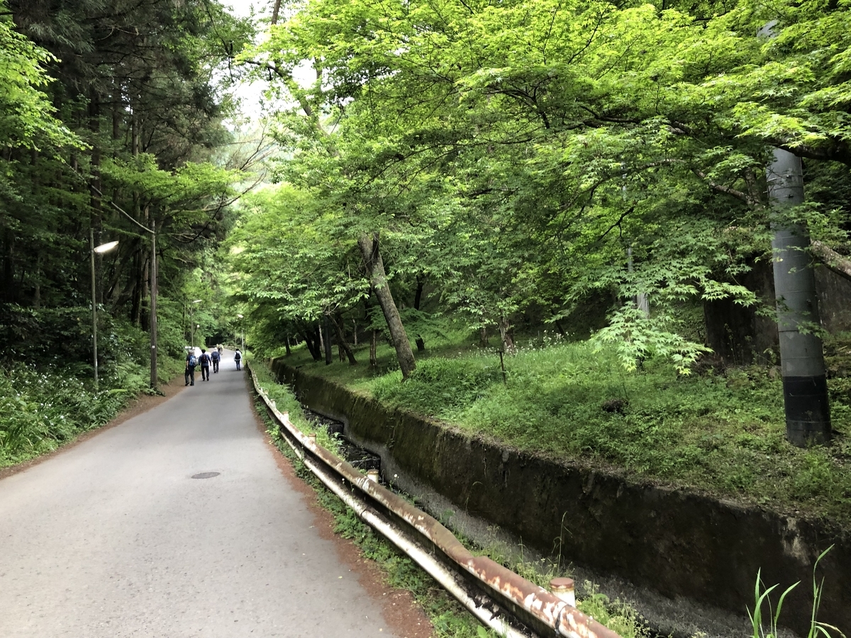 f:id:henatan:20190519165034j:plain f:id:henatan:20190519165034j:plain