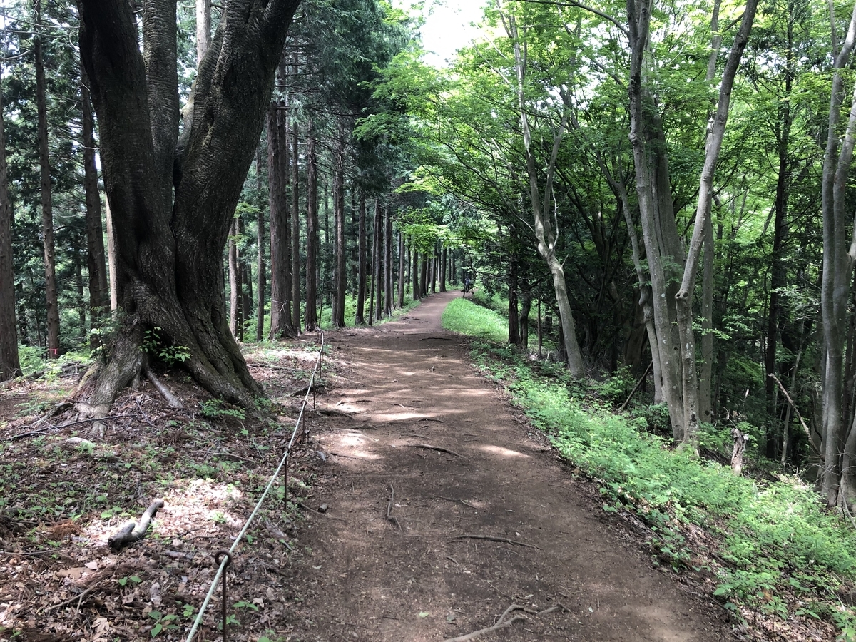 f:id:henatan:20190519182001j:plain f:id:henatan:20190519182001j:plain