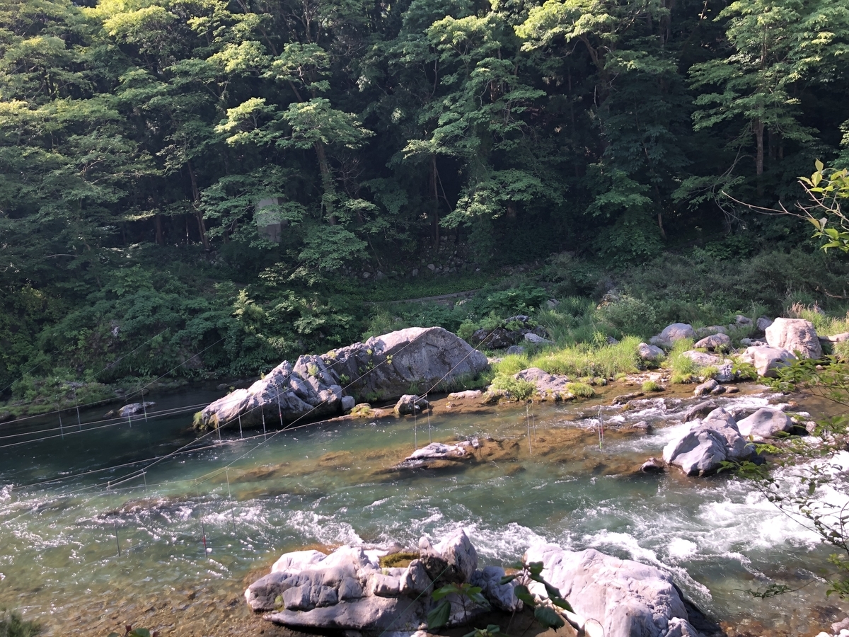 f:id:henatan:20190601155341j:plain