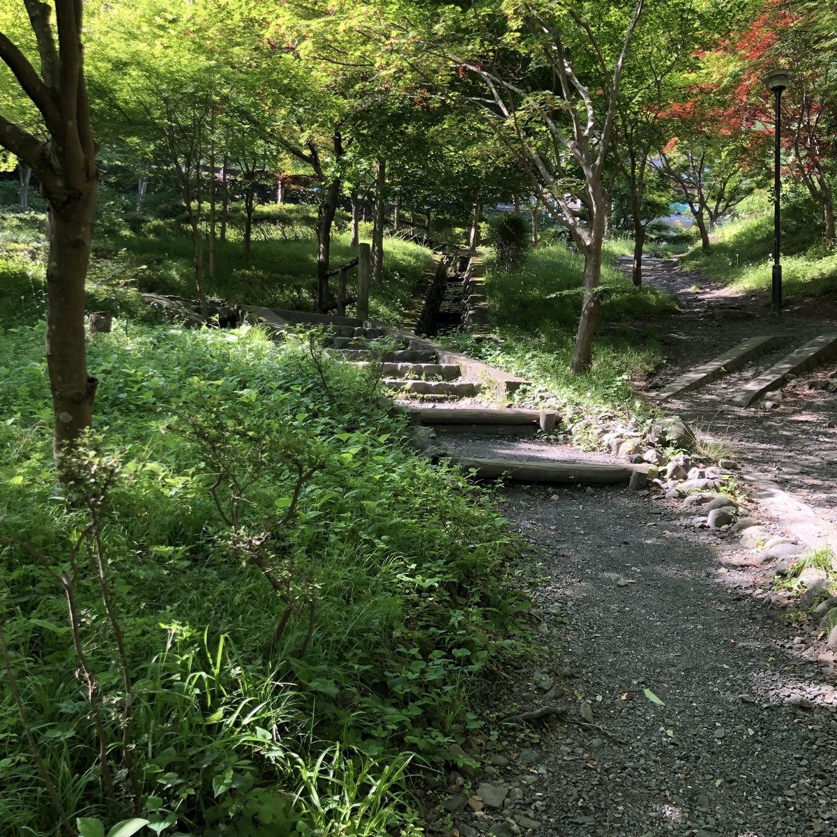 f:id:henatan:20190601155648j:plain