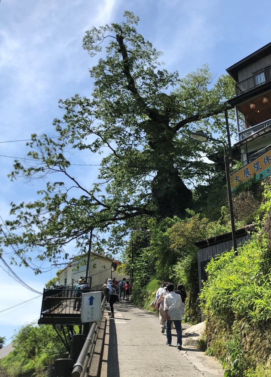f:id:henatan:20190601162954j:plain