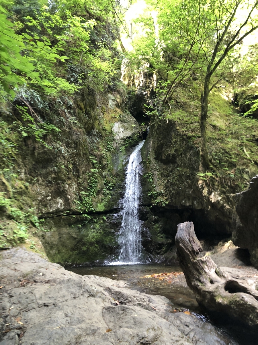 f:id:henatan:20190601164325j:plain