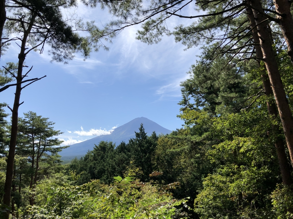 f:id:henatan:20191006173202j:plain f:id:henatan:20191006173202j:plain