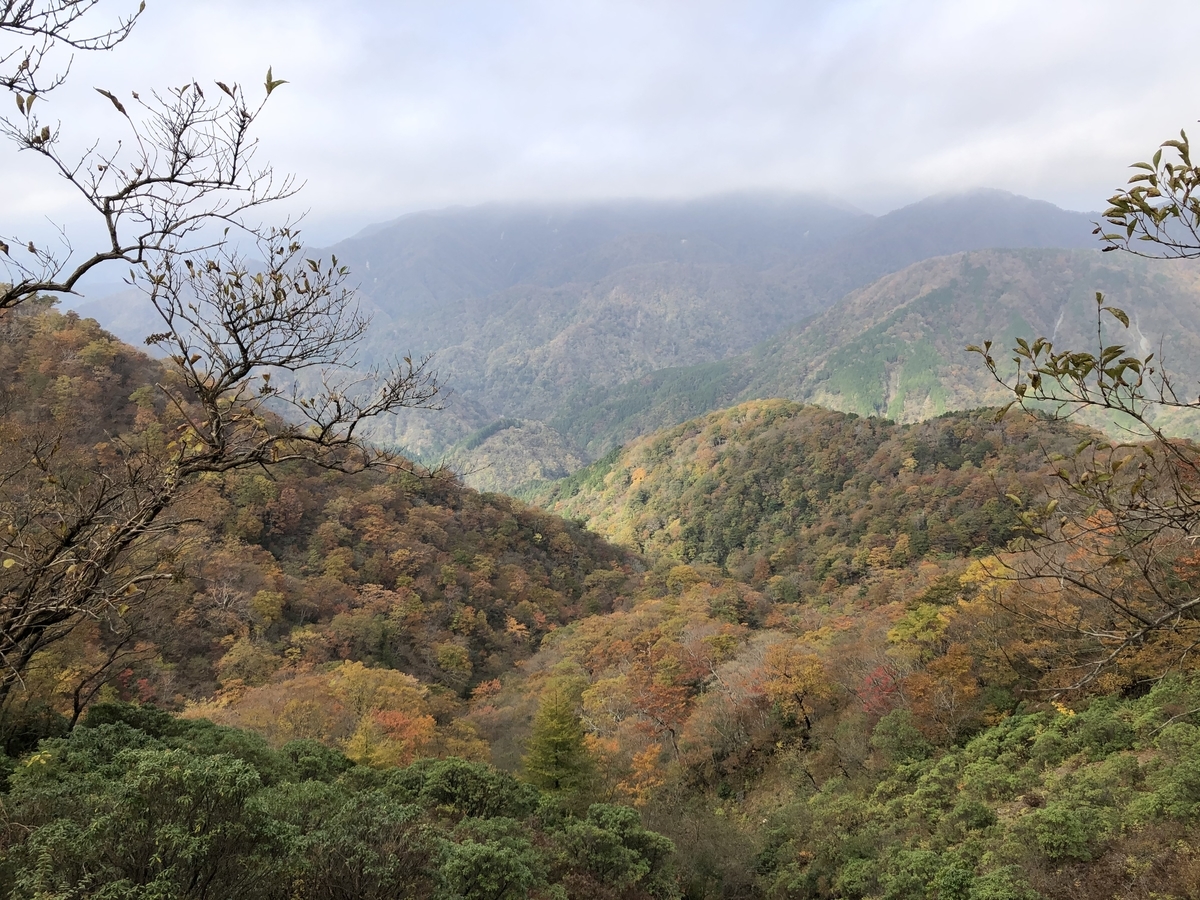 f:id:henatan:20191104111431j:plain f:id:henatan:20191104111431j:plain