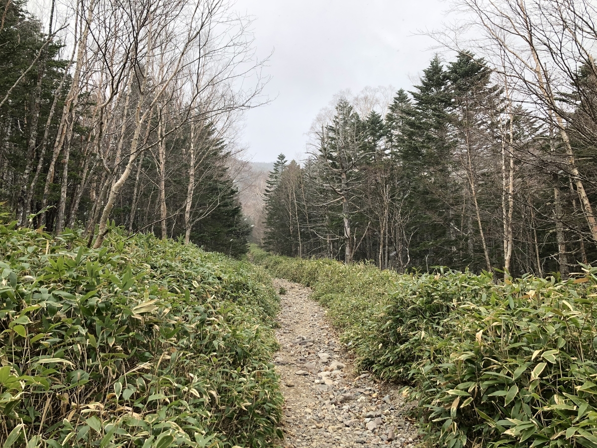 f:id:henatan:20191117090551j:plain