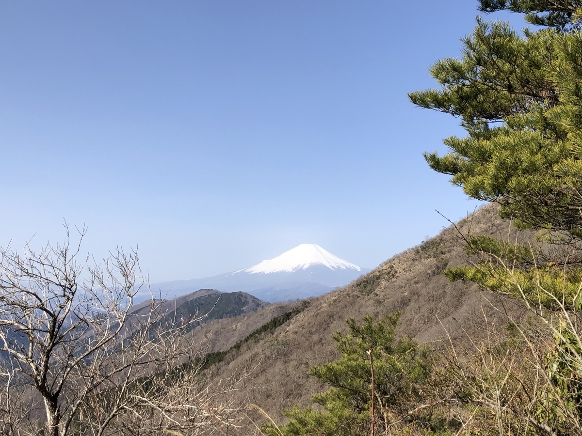 f:id:henatan:20200322153158j:plain f:id:henatan:20200322153158j:plain