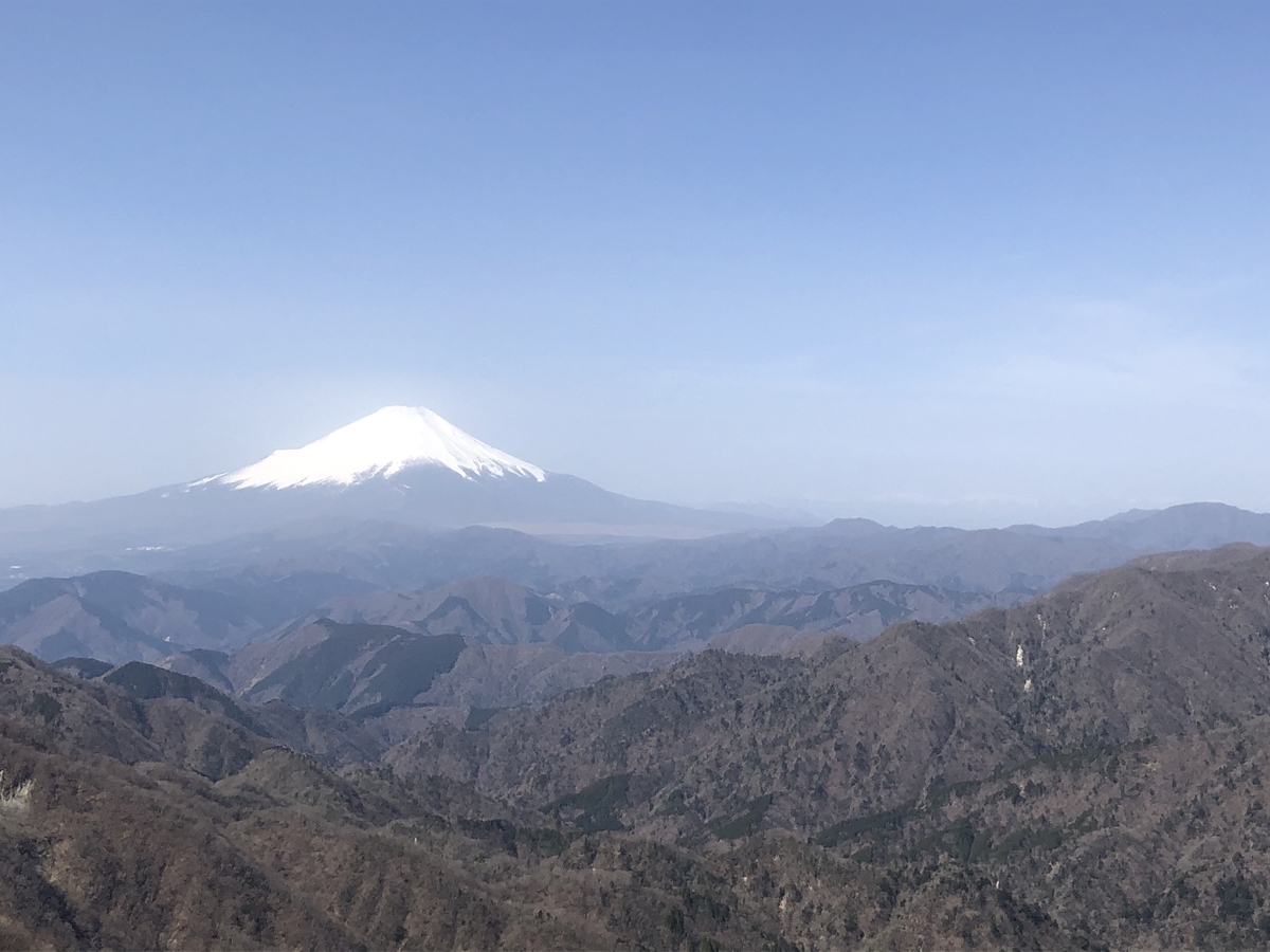 f:id:henatan:20200322154628j:plain f:id:henatan:20200322154628j:plain