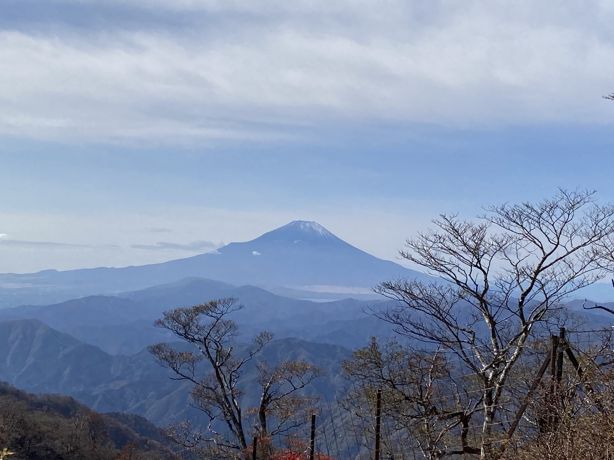 f:id:henatan:20201102193838j:plain