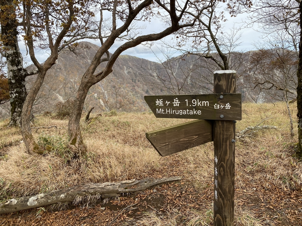 f:id:henatan:20201102195739j:plain