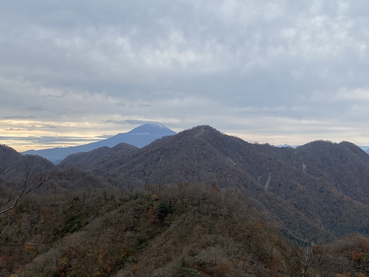 f:id:henatan:20201103060155j:plain