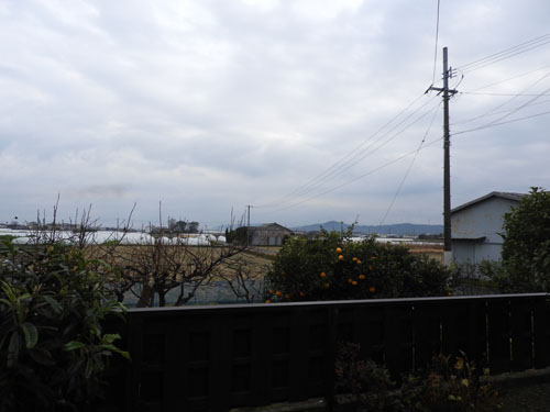 イメージ 7
