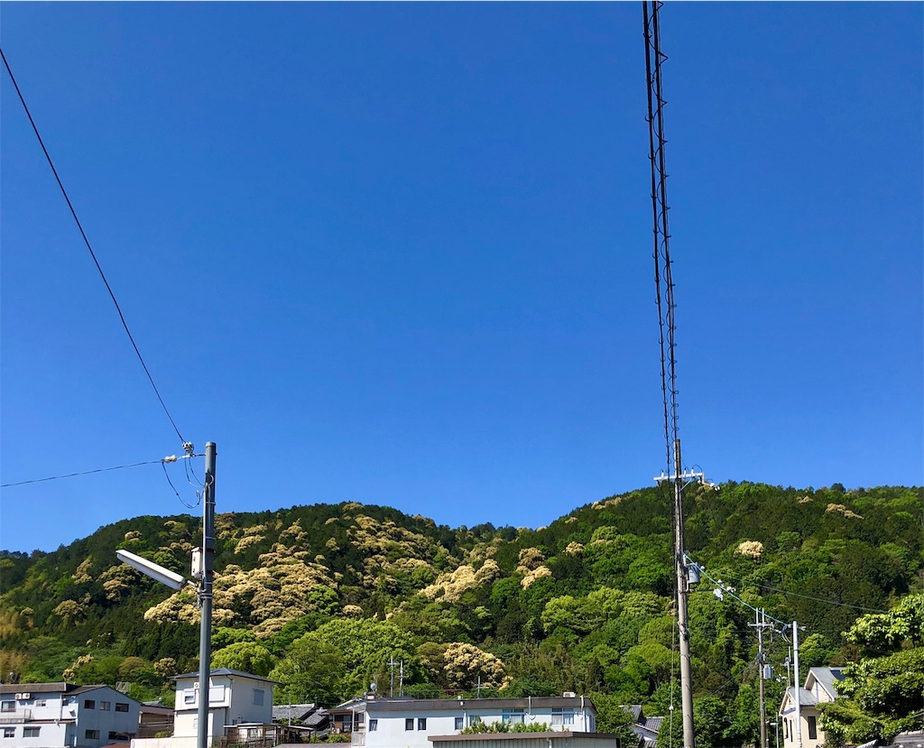 f:id:henehene47:20190508104052j:image