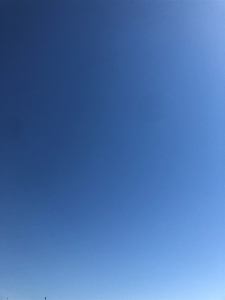 f:id:henehene47:20190508124126j:image