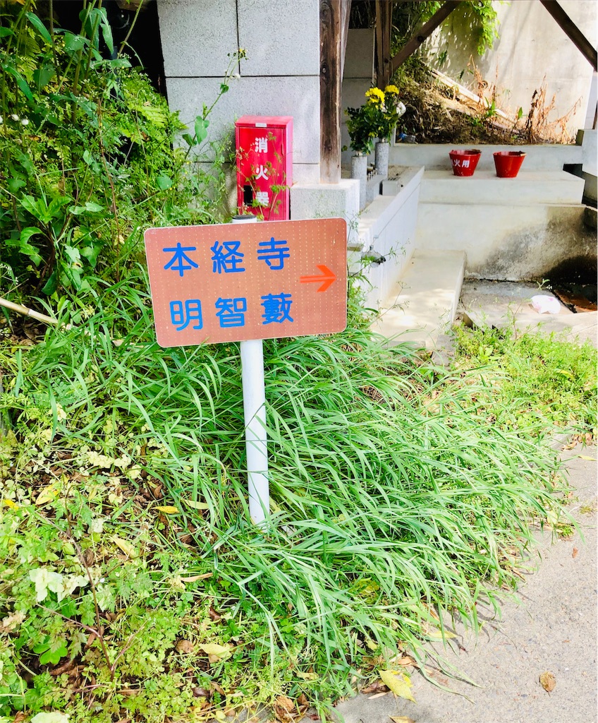 f:id:henehene47:20190510125438j:image