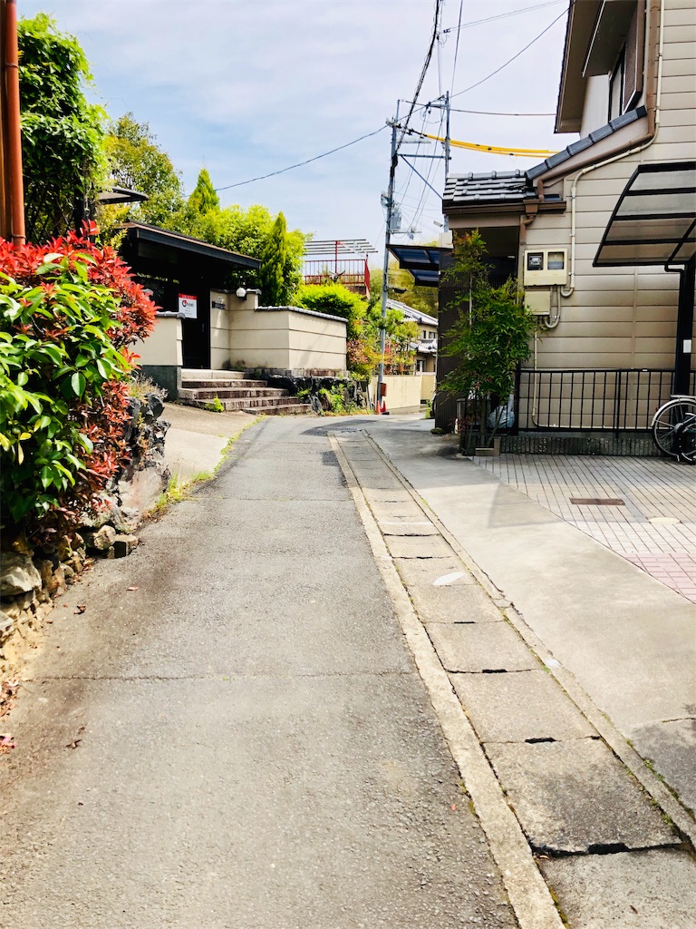 f:id:henehene47:20190510125518j:image