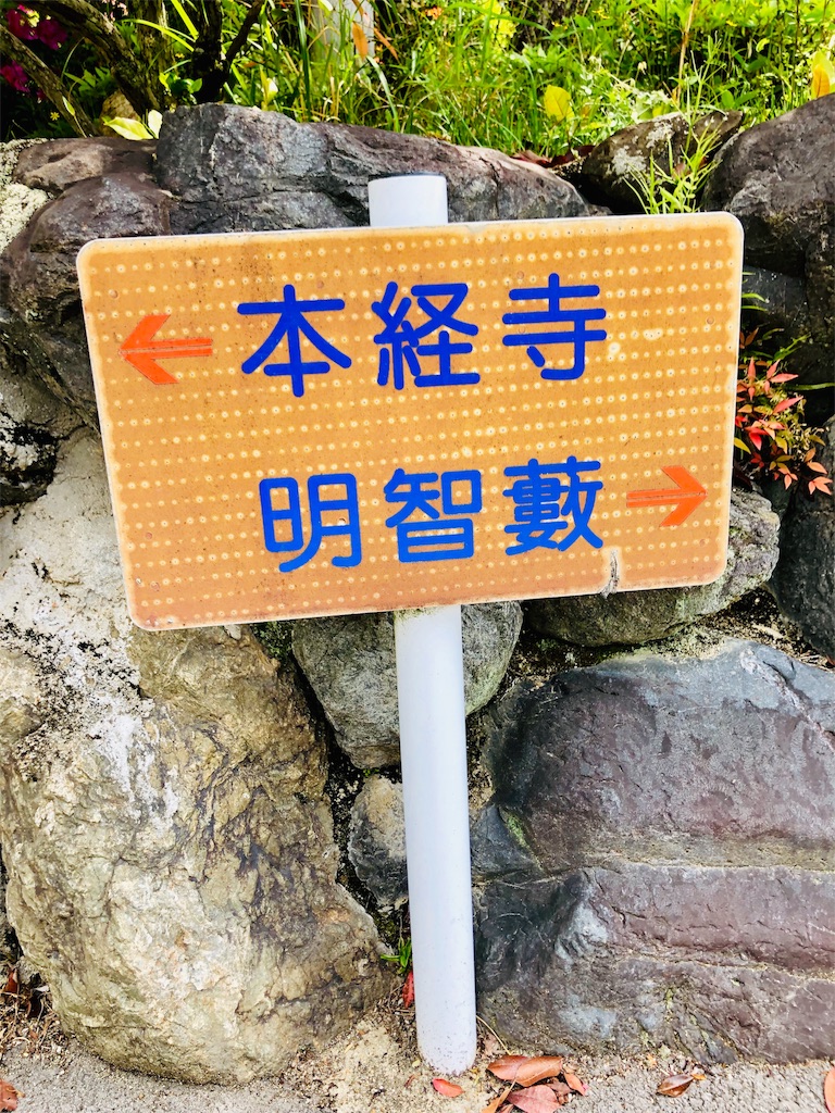 f:id:henehene47:20190510125547j:image