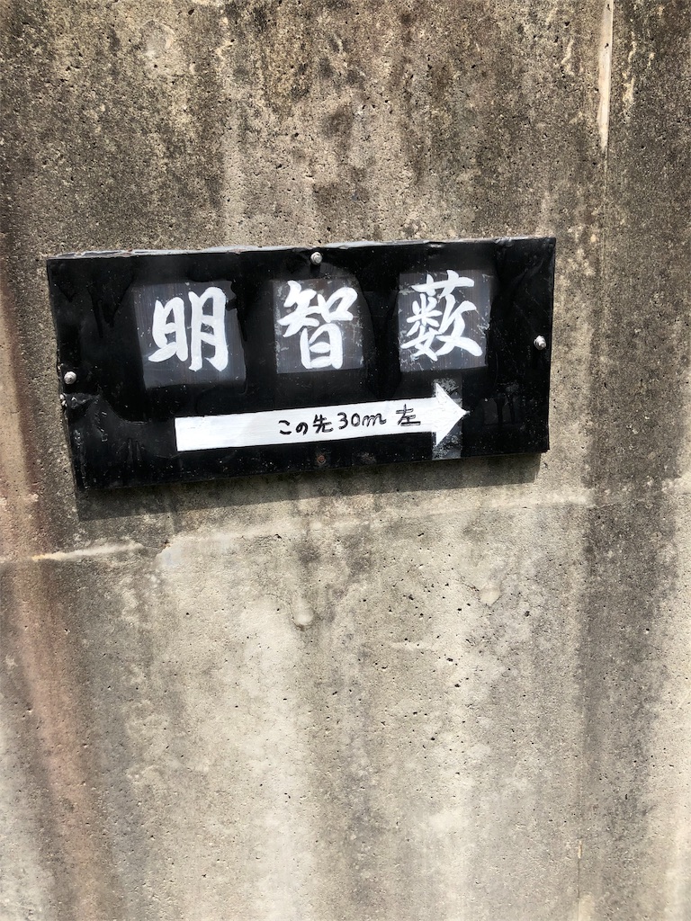 f:id:henehene47:20190510125631j:image