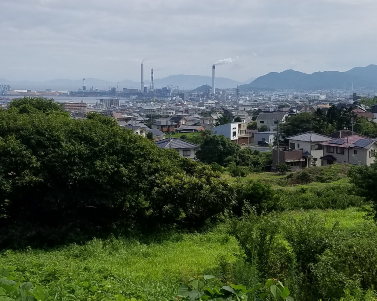 f:id:henlo:20190712220734j:image