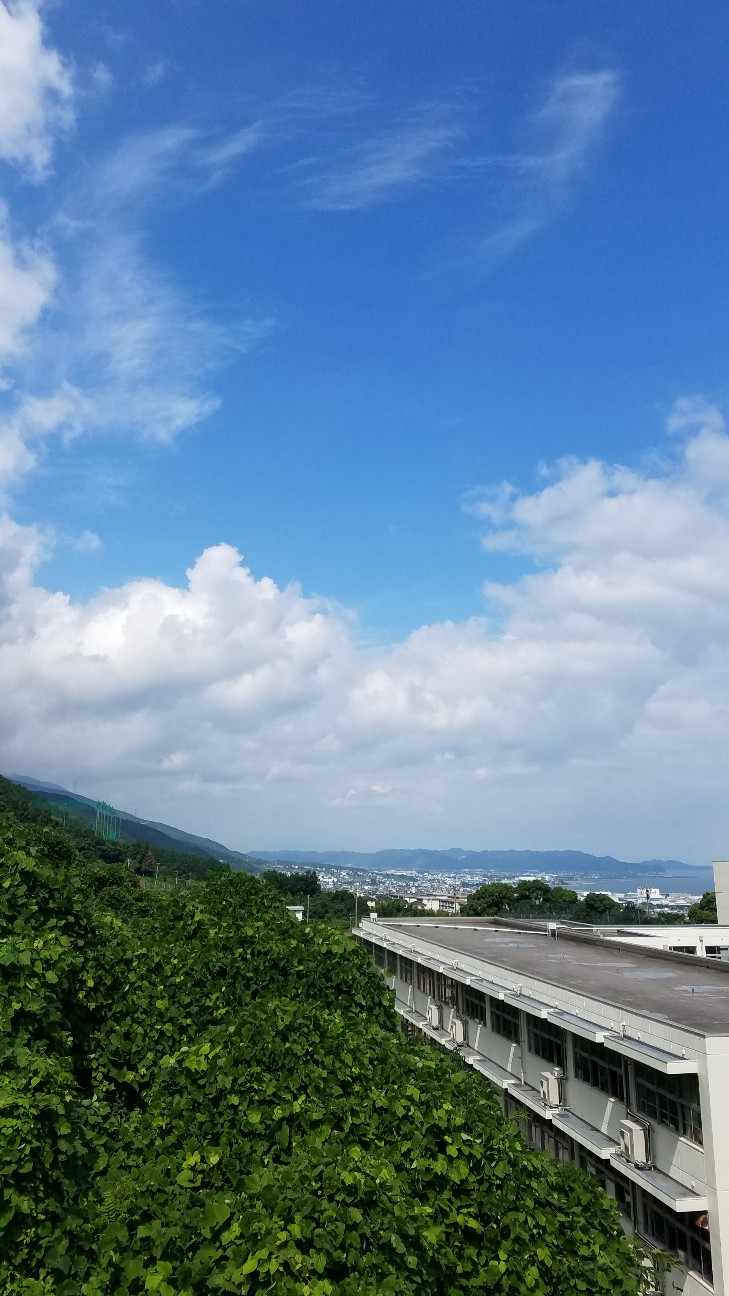 f:id:henlo:20190712220907j:image