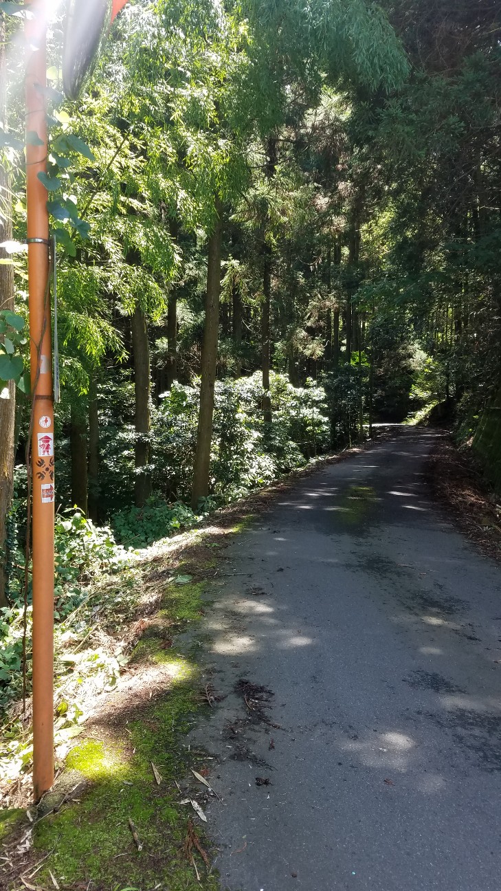 f:id:henlo:20190712223922j:image